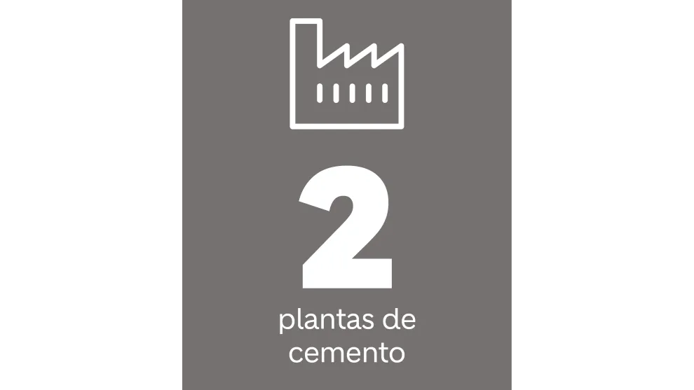 plantas-de-cemento-02.png